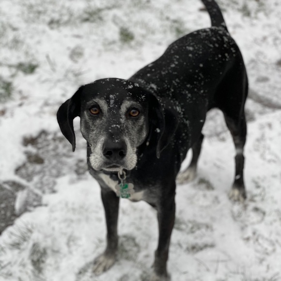 About my Closet, please read! - Picture 2 of 4